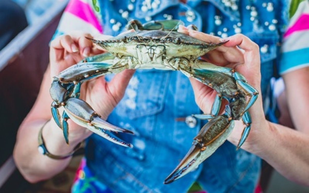 42nd Annual World Famous Blue Crab Festival May 18, 2024 to May 19